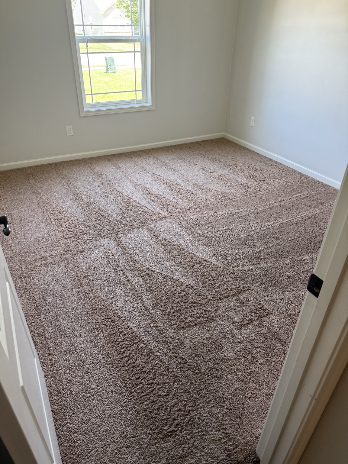Professional carpet shampooing in progress